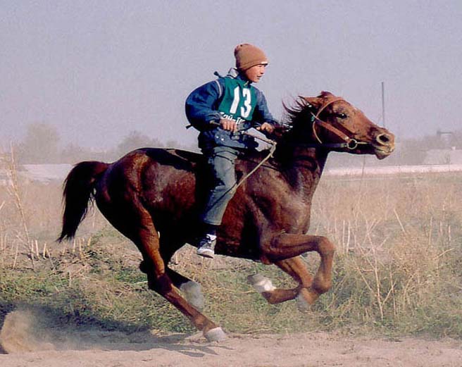 NOUL KIRGIZ